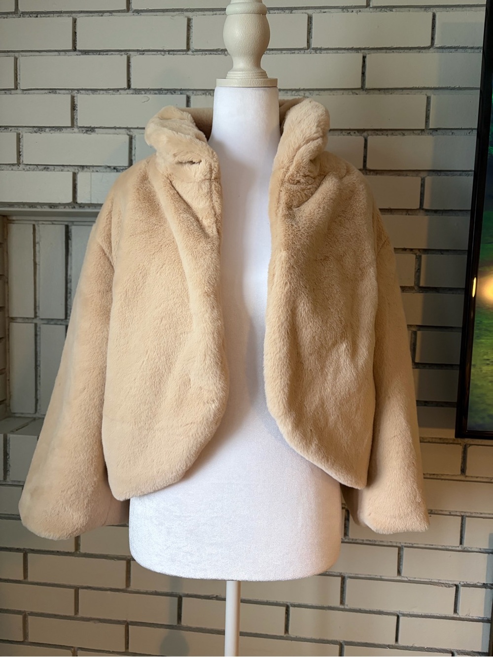 Plush Cropped Teddy Jacket in Light Beige